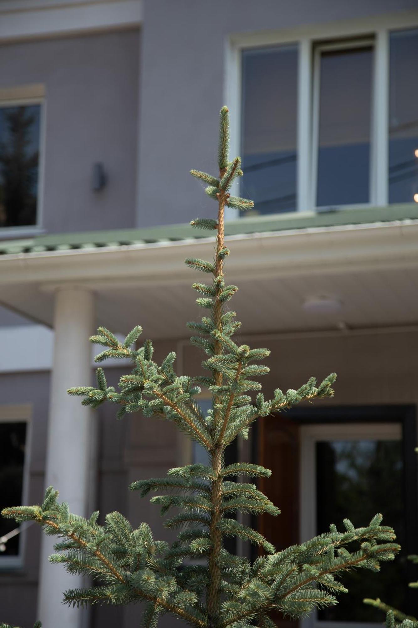 People Guest House Bischkek Exterior foto